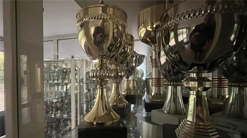 Einst eine sportliche Größe: In Stade stirbt ein Sportverein Hunderte Pokale stehen im Foyer der Sporthalle. Die meisten stammen aus der erfolgreichen Faustball-Ära.