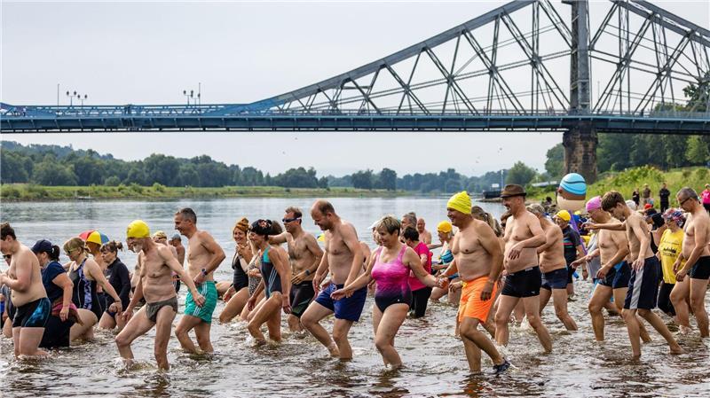 Hunderten Menschen machen beim Elbeschwimmen mit.