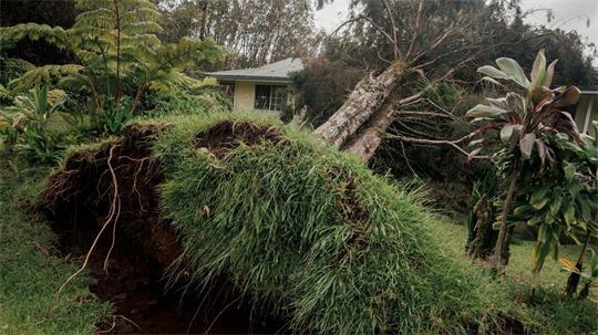Hurrikan „Lala“ hat auf Hawaiis größter Insel Big Island schwere Schäden hinterlassen.