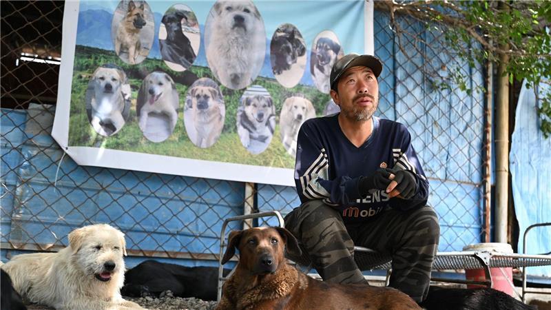 Huzi hatte zehn Jahre in Peking gearbeitet, bevor er entschied, sich nur noch um Hunde zu kümmern. 