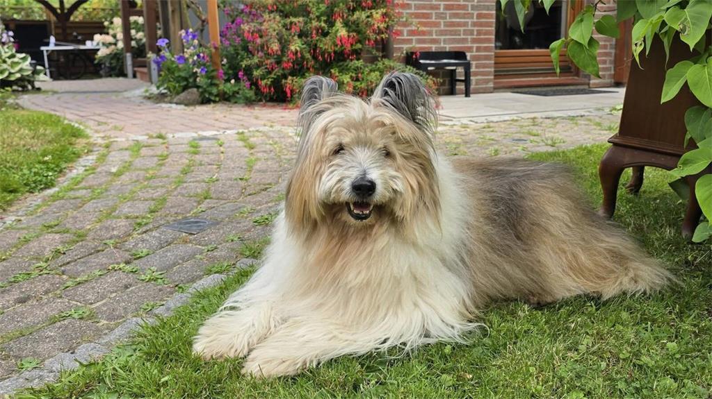 „Ich bin die Lucy 13 Jahre jung weiß aber noch nicht was wir besonders machen we...