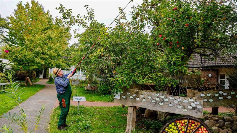„Ich hatte das Problem, wir haben nicht mehr genug Platz im Garten und ich wollte unbedingt viele Äpfel sammeln“ erklärte Jochen Bock.