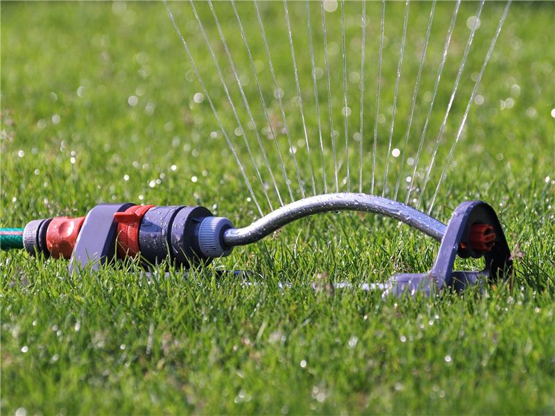So können Gartenbesitzer Wasser sparen Ideal ist das Rasensprengen am Morgen. Dann verdunstet nicht so viel Feuchtigkeit, und der Rasen kommt gut über den Tag. Foto: Pixabay.de
