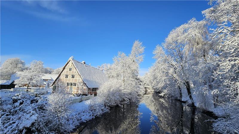 Idyll in der Stadt: Birgit Eroms hat bei ihrem Mittagsspaziergang an der Museumsinsel in Stade die Landschaft festgehalten. (Archiv)