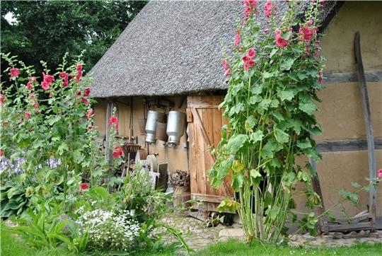 Idyll mit Schafstall : Alte Milchkannen und Eimer hängen an der Wand.