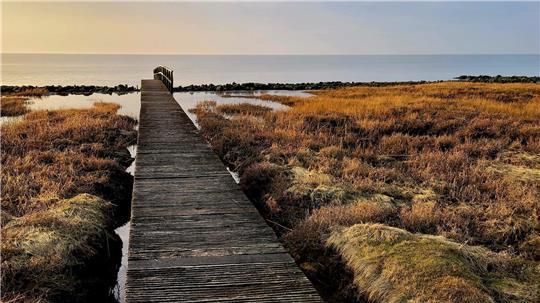 Idylle pur: Der rund 250 Meter lange FKK-Badesteg verbindet den außendeichs gelegenen Saisoncampingplatz in Cappel-Neufeld mit dem Wattenmeer und führt dabei an Salzwiesen vorbei.