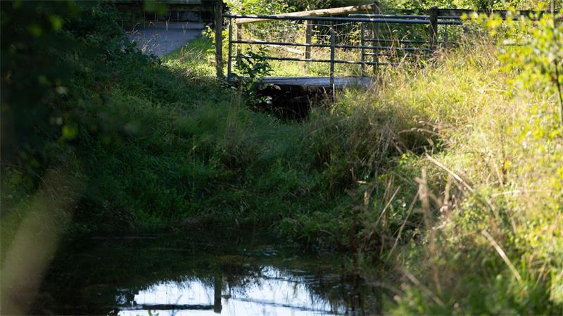 Prozess um Kofferleiche: Wie der Angeklagte sich verriet Idyllisch wirkt die Umgebung - aber hier lag der Koffer mit der Leiche, unbemerkt für Wochen.