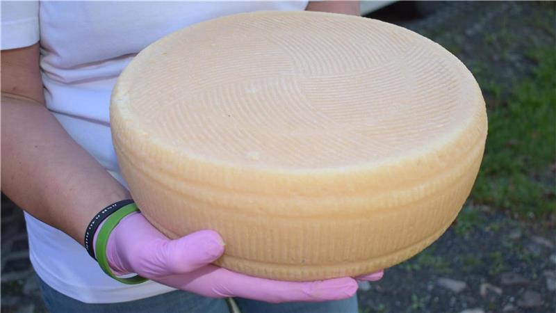 Ein reifender Käselaib von Stepahnie Heidrich.