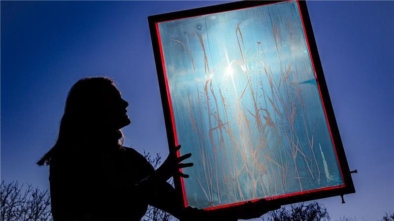 Ihre Motive findet die Kunsthandwerkerin in der Uckermark. 