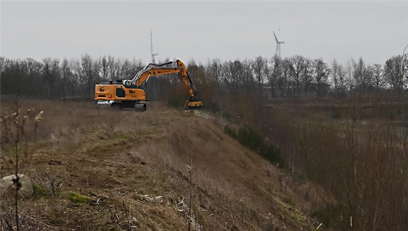 Illegal: Der Baggerführer beseitigt am Montag mit einem Schredder am Osthang des Baggersees in Nottensdorf alle Gehölze. Foto: Vasel