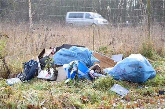 Illegal entsorgte Müll in der Natur. Foto: Battmer