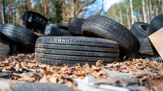 Illegal entsorgter Müll im Wald ist aus Sicht von Umweltschützern ein Problem - gelöst ist es längst noch nicht (Symbolbild).
