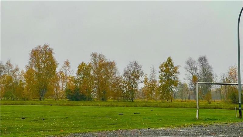 Achtjähriger durch illegale Sprengfalle verletzt – Familie verzweifelt Illegal installierte Wühlmaus-Fallen auf dem Findorfer Bolzplatz wurden im Sommer 2023 einem damals achtjährigen Jungen zum Verhängnis.