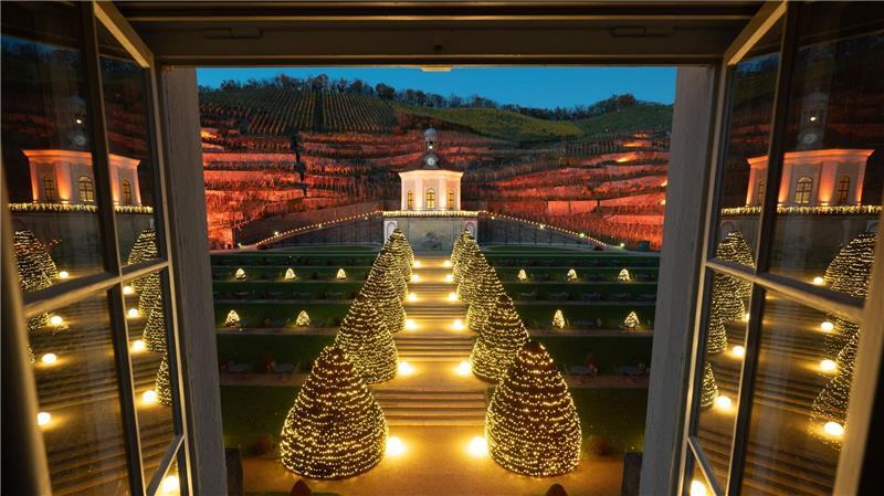 Illuminiert ist das Gelände des Sächsischen Staatsweingutes mit dem Belvedere bei einer Beleuchtungsprobe vor dem Start von „Wein & Licht auf Schloss Wackerbarth“. T
