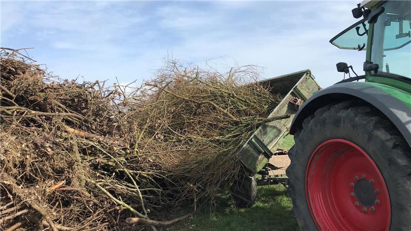 Im Baljer Außendeich werden Zweige und Äste für das Osterfeuer zusammengeschoben.