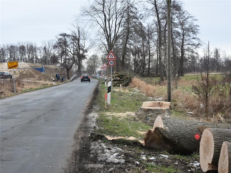 Im Bereich der fast fertigen Autobahn-Anschlussstelle Buxtehude Mitte (links), die bisher ohne Anschluss an hin- oder wegführenden Straßen ist, sind alle größeren Bäume, zum Teil alte Eichen, gefällt worden. Fotos: Felsch