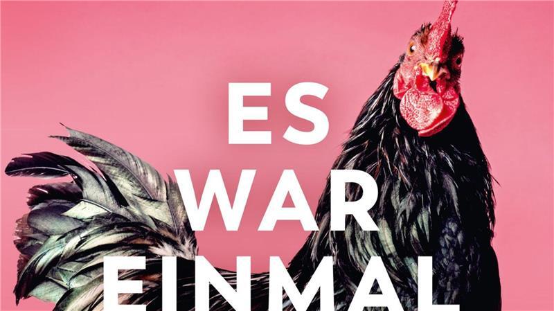 Im Buch „Es war einmal das Huhn“ schildert die Biologin Astrid Drapela sehr viele Fakten zu Hühnern.