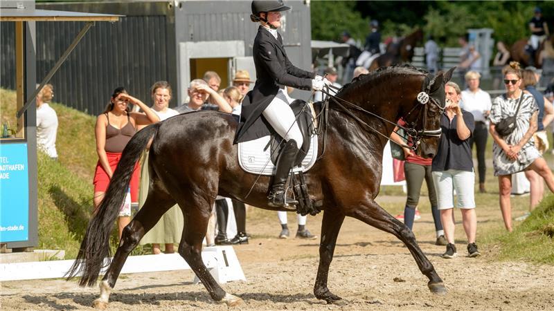 Wie Bargstedt gegen den Trend wächst: Erfolgsrezept des Reitturniers Im Dressurviereck sitzt Leonie Höper aus Bliedersdorf konzentriert im Sattel ihres Wallachs „Touchdown“.