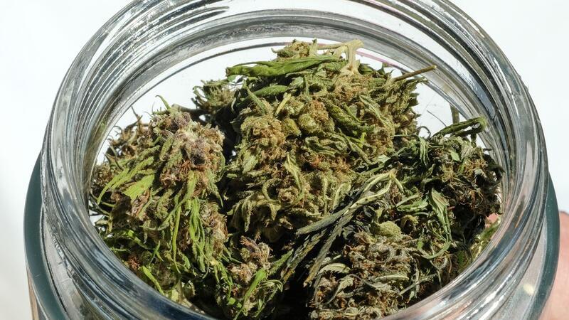 Im Eigenanbau soll die erlaubte Menge von 25 auf 50 Gramm getrocknetes Cannabis verdoppelt werden.