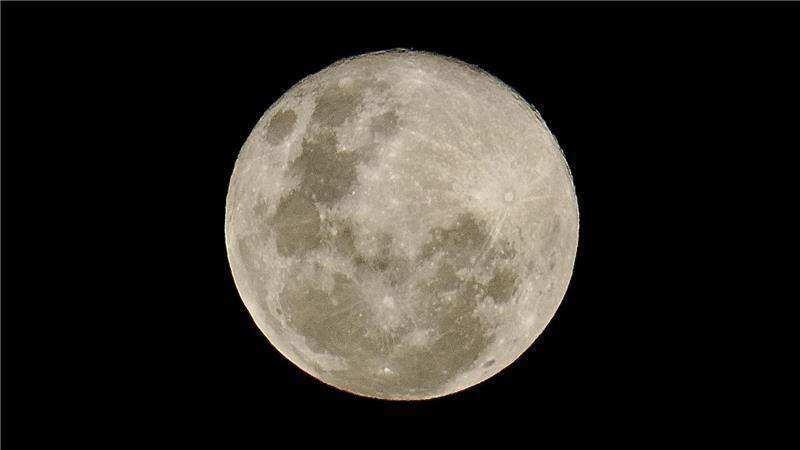 Supermond über dem Landkreis Stade: Das sind die besten Leserfotos Im Foto von Majvi Bröhan wirkt der Supermond fast zum Greifen nah.