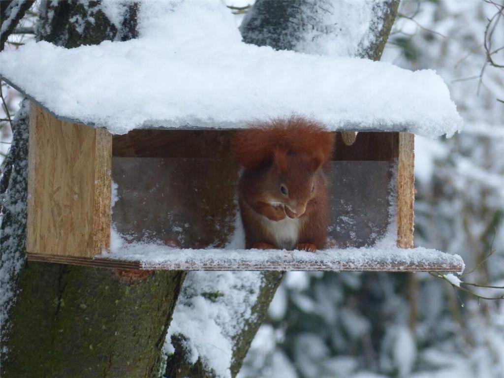 Im Frankenmoor bei Svenja Poppe ist tierisch was los.