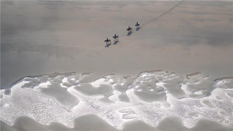 Im Galopp dem Horizont entgegen - Der Traum eines jeden Reiters ist wohl der Ritt am Strand. Foto: Schuldt/dpa