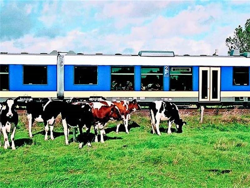 Im Gespräch: Die Reaktivierung der Strecke Bremervörde-Stade.