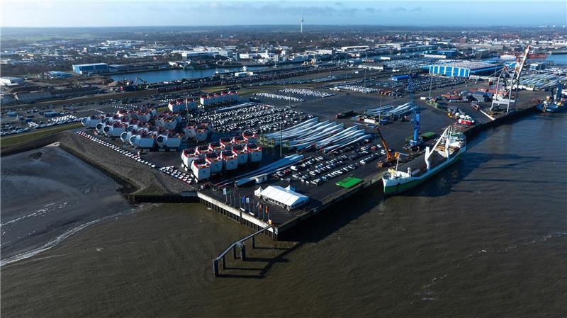 Im Hafen von Cuxhaven wurde ein toter Zwergwal entdeckt. (Symbolfoto)