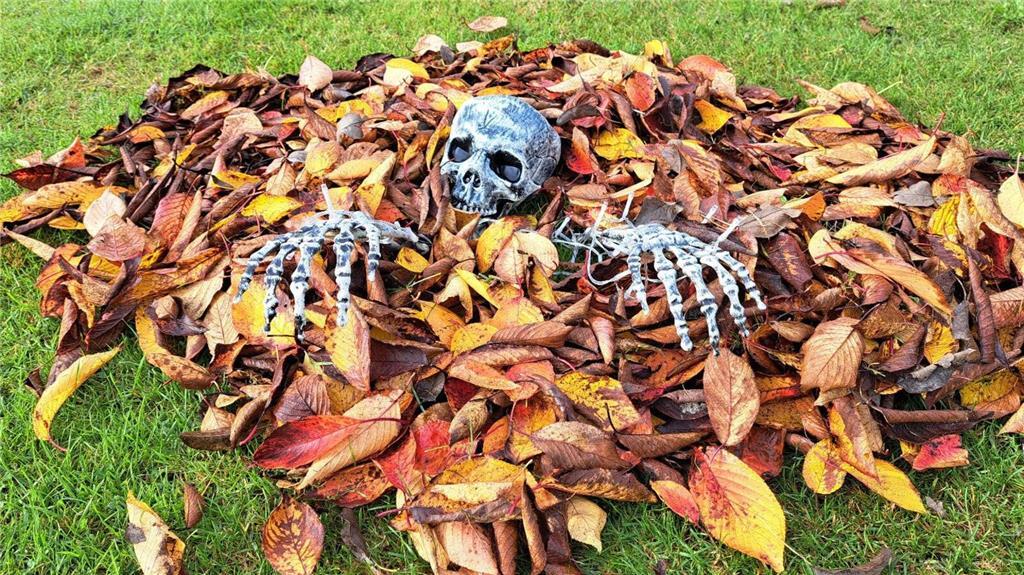 Im Herbst fallen im Garten einige Aufgaben an. Einige versinken sogar in Arbeit.