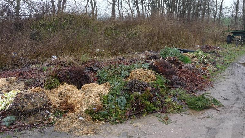 Laub im Wald abladen? Kreis Stade warnt vor illegaler Abfallentsorgung Im Herbst, wenn viel Laub zu entsorgen ist, häufen sich die Meldungen illegaler Grünabfallentsorgung beim Landkreis Stade.