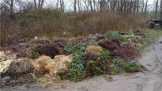 Im Herbst, wenn viel Laub zu entsorgen ist, häufen sich die Meldungen illegaler Grünabfallentsorgung beim Landkreis Stade.
