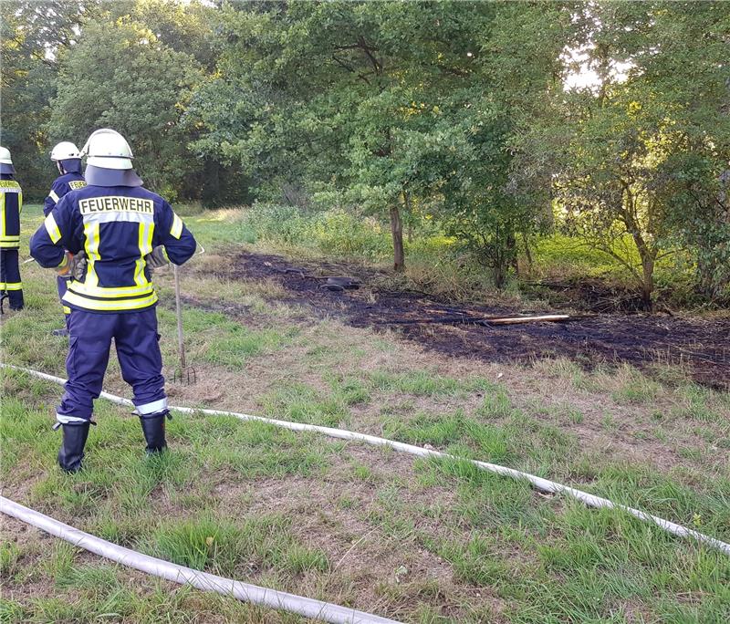 Feuerwehren löschen Flächenbrände Im Hohenmoor bei Mulsum ist ein Feuer ausgebrochen. Foto Beneke