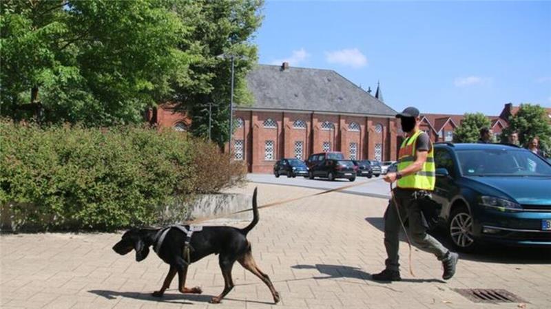 Im Juni 2018 durchsuchten Polizeikräfte 17 Wohn- und Geschäftsräume sowie Cuxhavens Schlossgarten mit Spürhunden.