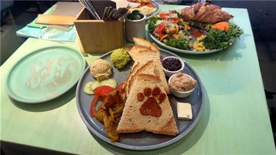 Im Katzentempel in Bremen ist auch beim Frühstück der Name Programm.