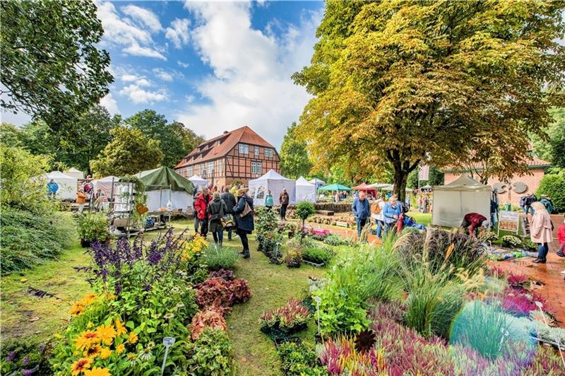 Herbstzauber und Mobilitätstag in Harsefeld Im Klosterpark wird es rund um den Amtshof herbstlich. Foto: Elsen