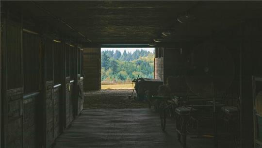 Im Kreis Stade kommt es immer wieder zu Einbrüchen in Pferdeställe (Symbolbild).