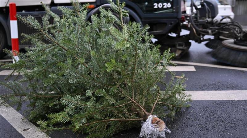Im Landkreis Rotenburg werden die Weihnachtsbäume von Ehrenamtlichen eingesammelt.