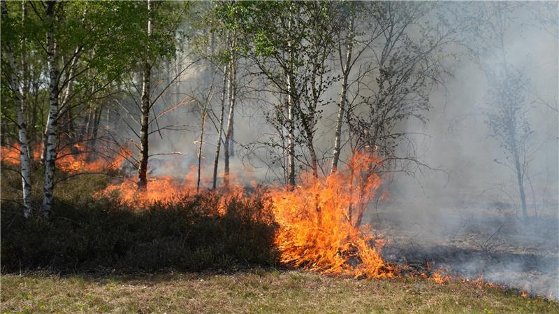 Im Mai hat es bereits niedersachsenweit kleinere Feuer und Vegetattionsbrände gegeben. (Symbolbild)