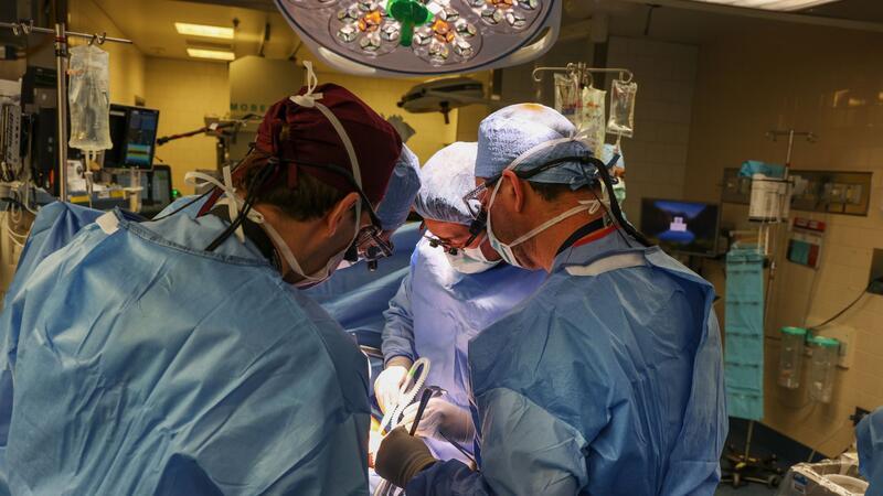 Im Massachusetts General Hospital haben Ärzte einem Patienten eine Schweineniere transplantiert.