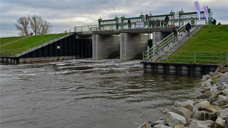 Im Nationalpark Unteres Odertal wurden Polder geflutet.