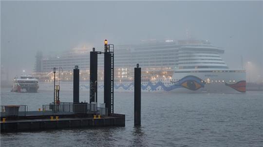 Im Nebel ist das Kreuzfahrtschiff „Aida prima“ im Hamburger Hafen zu sehen.