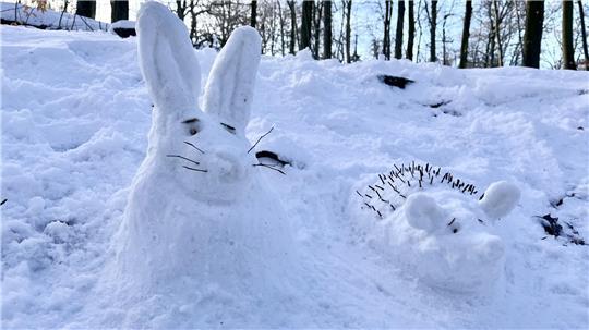 Im Neukloster Forst sind derzeit Hase und Igel anzutreffen. Die Liebe zum Detail ist beeindruckend.