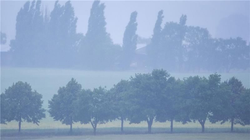 Im Nordosten Deutschlands wird heftiger Regen erwartet. (Archivbild)