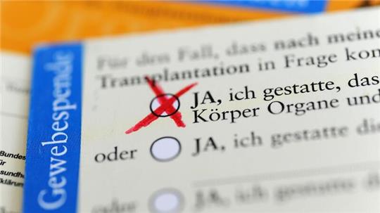 Im Organspendeausweises kann man aus fünf verschiedenen Optionen wählen.