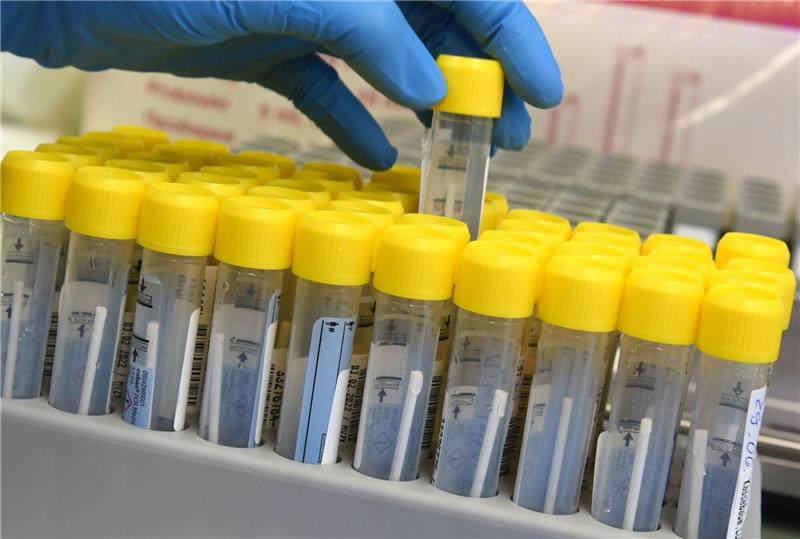 Inzidenz im Kreis Stade bleibt über 400 Im PCR-Labor bereitet eine medizinisch technische Laborassistentin die Bearbeitung von PCR-Tests vor.