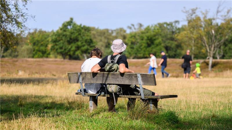 „Vorsicht Kreuzottern!“ - doch Giftschlange ist auch bedroht Im Pietzmoor in der Lüneburger Heide sollten Wanderer auf Schlangen achten.