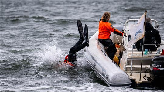 Ein Taucher lässt sich von einem Boot ins Wasser gleiten. 