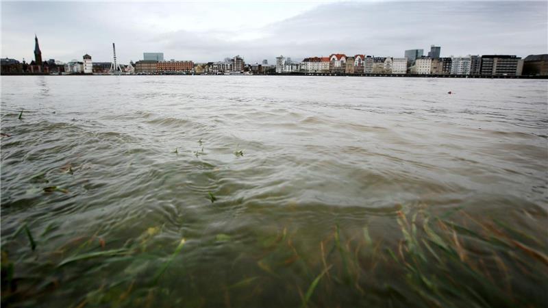 Im Rhein schwimmt mehr Müll als angenommen. (Archivbild).