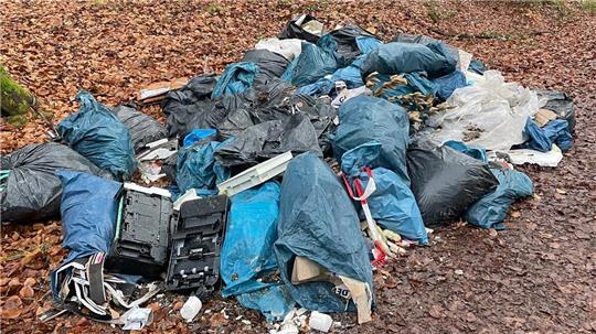 Im Rüstjer Forst wurde zwischen den Jahren illegal Müll entsorgt.