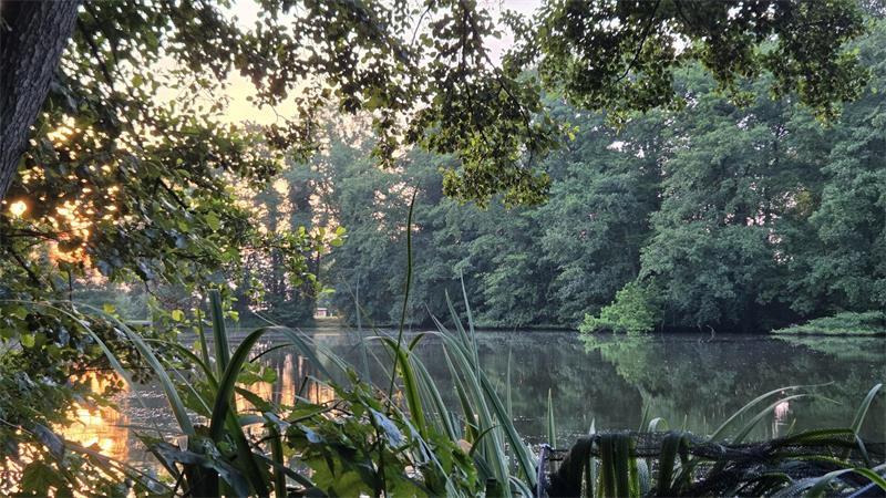Im Schutz des kleinen Wäldchens? Das Haus im Waldweg grenzt an den Buschteich in Dollern an.